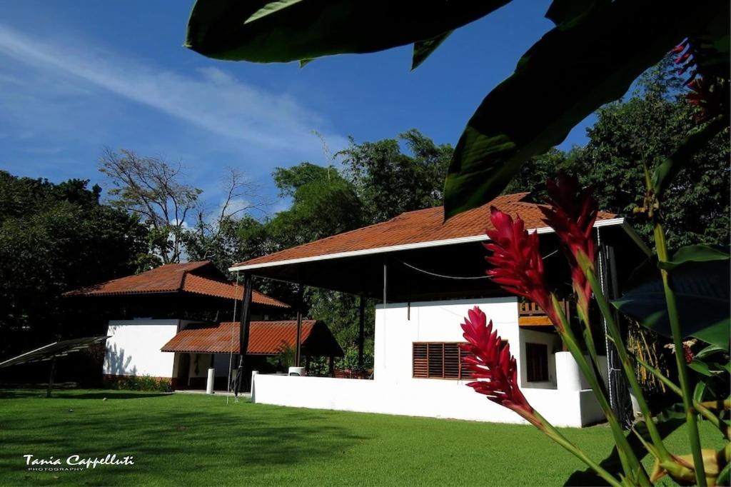 Casa Luz Resort Cabo Matapalo Exteriér fotografie